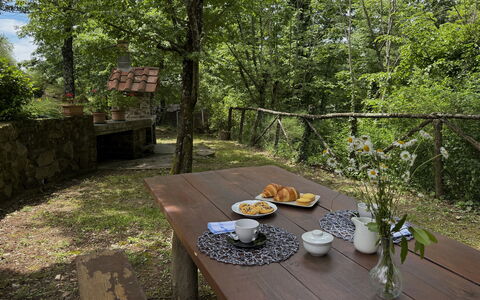 Anfora!!: Wood, Trunk, Spring, Forest, Garden, Shade, Sunlight, Cottage, Woodland, Outdoor Table