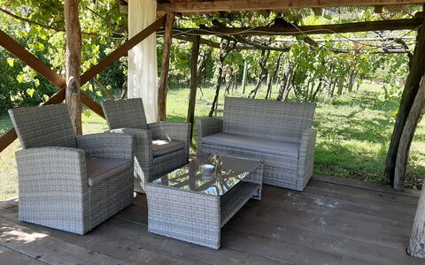 Bettina!: Plant, Shade, Wood, Couch, Outdoor Furniture, Tree, Interior Design, Grass, Cottage, Rectangle