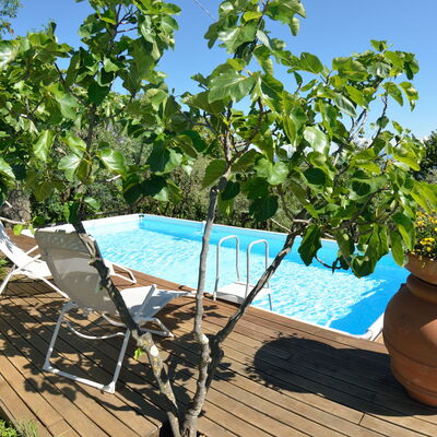 Bettina!: Property, Tree, Plant, Real Estate, Leisure, Vacation, House, Swimming Pool, Flower, Estate