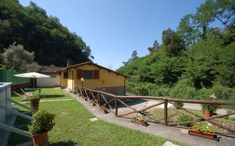 Casa Milena: Property, Real Estate, House, Botany, Building, Yard, Garden, Landscape, Home, Tree