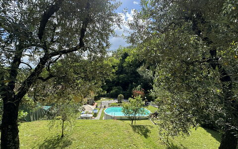 Casa Milena: Plant, Plant Community, Sky, Tree, Natural Landscape, Shade, Land Lot, Vegetation, Sunlight, Biome