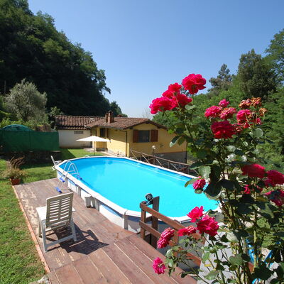 Casa Milena: Swimming Pool, Property, Botany, Flower, Leisure, Resort, Plant, Garden, Vacation, Villa