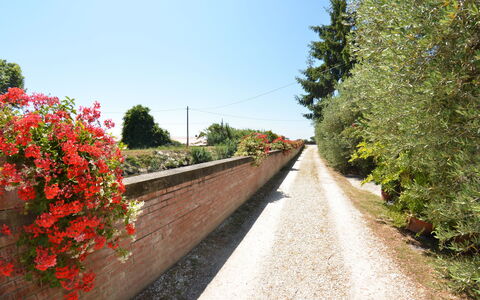 Casa Romana: Red, Tree, Flower, Road, Spring, Plant, Lane, Botany, Walkway, Shrub