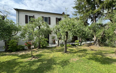Casa Romana: House, Shrub, Residential Area, Garden, Home, Lawn, Backyard, Yard, Estate