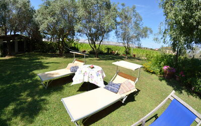 Casa Romana: Property, Tree, Grass, Plant Community, Table, Leisure, Real Estate, House, Recreation, Vacation