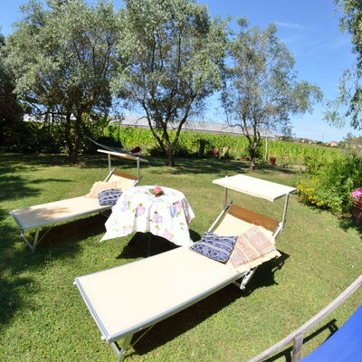 Casa Romana: Property, Tree, Grass, Plant Community, Table, Leisure, Real Estate, House, Recreation, Vacation