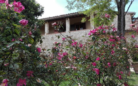 Agriturismo La Pieve: Flower, Property, Plant, House, Pink, Botany, Tree, Spring, Rural Area, Building