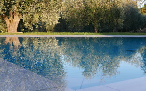 Agriturismo La Pieve: Reflection, Water, Nature, Natural Landscape, Blue, Tree, Water Resources, Sky, Lake, Reflecting Pool