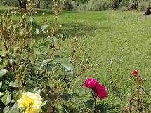 Agriturismo La Pieve