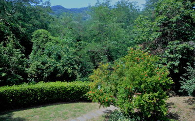 Villa Dei Cecchini Tra Massa e Cozzile