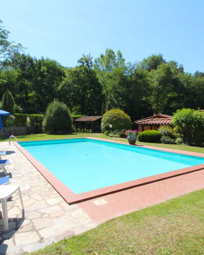 Villa le Balze: Plant, Sky, Property, Swimming Pool, Shade, Tree, Water, Chair, Grass, Leisure