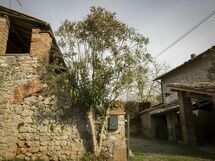 La Loggia e Il Cortile Appartamenti
