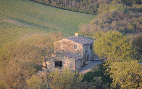 Podere Palazzo: Rural Area, Hill, Tree, Sky, Aerial Photography, Photography, Architecture, Landscape, House, Building