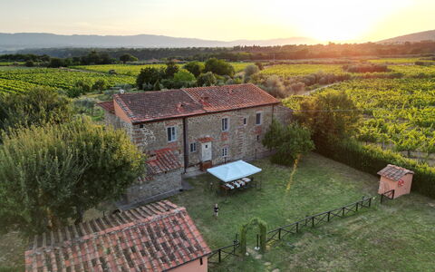 La Gropina Di Loro Ciuffenna: Plant, Sky, Building, Window, Natural Landscape, House, Tree, Highland, Land Lot, Agriculture