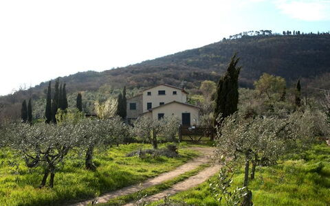 Villa Eleonora: Mountain Village, Natural Landscape, Property, Hill Station, Rural Area, Hill, Tree, Spring, Highland, Mountain