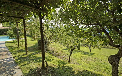 Outdoor view and garden
