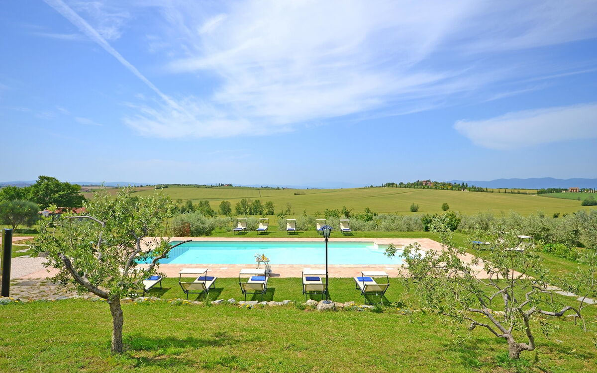 Swimming pool and garden