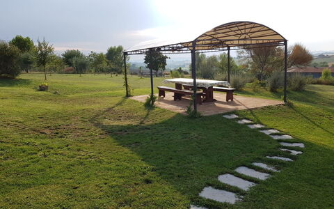 Villa Anita: Grass, Land Lot, Grassland, Rural Area, Lawn, Farm, Yard, Backyard, Garden, Shade