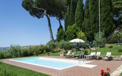 Swimming pool and garden