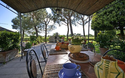 Casa i Pini: Property, Real Estate, Home, House, Building, Patio, Porch, Room, Estate, Yard