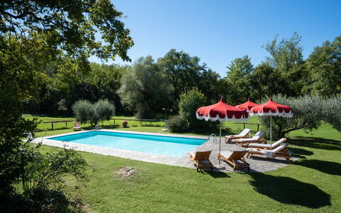 Villa Marina: Plant, Water, Sky, Swimming Pool, Shade, Umbrella, Tree, Building, Outdoor Furniture, Chair