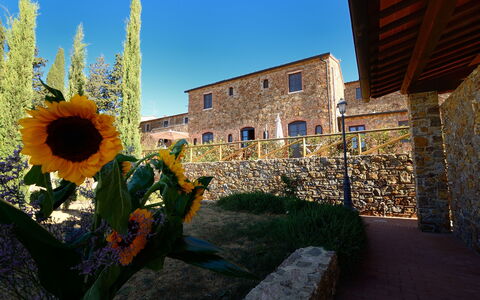 Borgo Casa Di Lappi: Sunflower, Flower, Blue, Sunflower, Yellow, Sky, Plant, Architecture, Building, Landscape