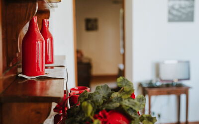 Azalea Ap. 4: Orange, Plant, Kitchen Appliance, Kitchen, Gas, Wood, Flower, Petal