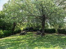 agriturismo-la-papessa-chianti-san-donato-farmhouse-tree