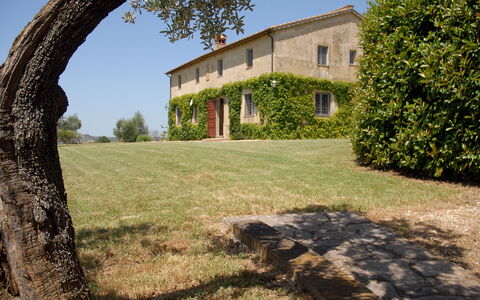 Podere San Giovanni: Sky, Plant, Property, Building, Window, Natural Landscape, Shade, Tree, Land Lot, Sunlight