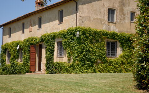 Podere San Giovanni: Plant, Building, Window, Property, Sky, Vegetation, Land Lot, Grass, Cottage, House