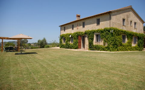Podere San Giovanni: Plant, Sky, Building, Window, House, Land Lot, Tree, Architecture, Grass, Landscape