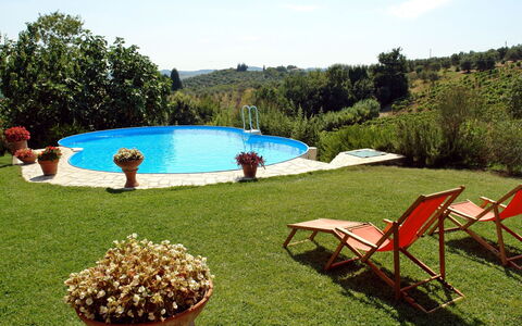 Ginestra Fiorentina 110
