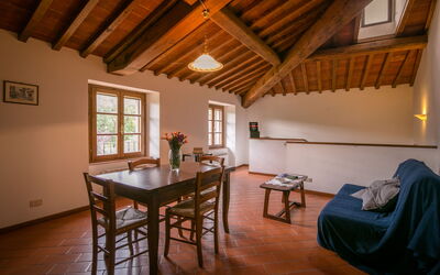 Accommodation:&nbsp;Oliveto