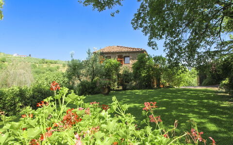 Villa Gioiosa: Green, Shrub, Summer, House, Rural Area, Grassland, Land Lot, Garden, Meadow