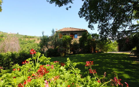 Villa Gioiosa: Flower, Plant, Sky, Plant Community, Tree, Natural Landscape, Building, Land Lot, Vegetation, Grass