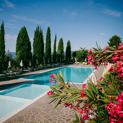 Fattoria Fronzano: Water, Flower, Sky, Cloud, Plant, Property, Swimming Pool, Tree, Natural Landscape, Arecales