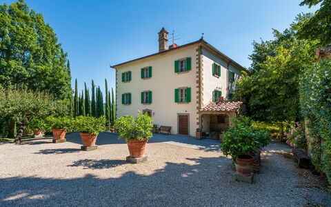 Palazzo Rosadi: Shrub, Home, Estate, Garden, Landscaping, Villa, Yard, Flowerpot, Houseplant, Hacienda