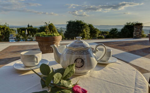 Villa Di Cinzia: Teapot, Tableware, Tree, Vacation, Room, Table, House, Plant, Photography, Drinkware