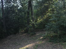 Gli Appartamenti Di Manuela