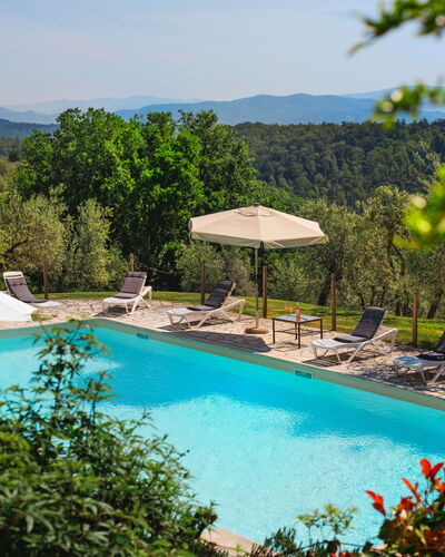 Pozzo Dei Desideri: Water, Plant, Sky, Property, Swimming Pool, Nature, Tree, Azure, Botany, Natural Landscape