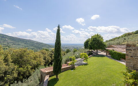 Tenuta Pomona: Vegetation, Hill, Landscape, Shrub, Highland, Land Lot, Plant Community, Hill Station, Groundcover
