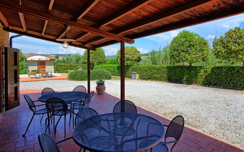 Cuccardino: Plant, Property, Sky, Building, Table, Shade, Tree, Interior Design, Wood, Chair