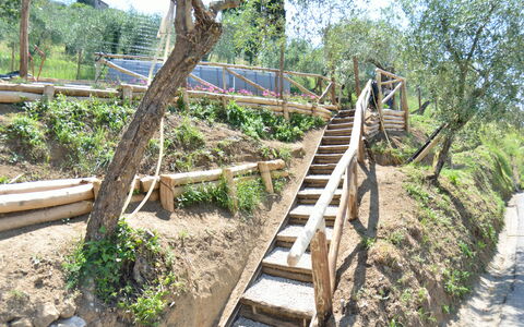Alla Piazzetta: Tree, Botany, Stairs, Walkway, Plant, Wood, Plant Community, Wildlife, Boardwalk, House