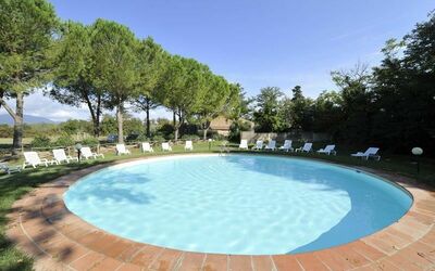 Fiori - Campiglia Marittima, Tuscany, Italy - Fiori 6