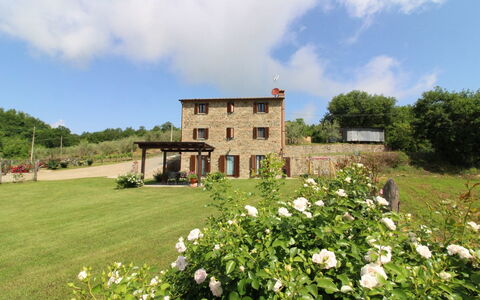 Poggio del Fabbro: Flower, Plant, Cloud, Building, Sky, Tree, Natural Landscape, Window, Land Lot, House