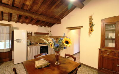 Accommodation:&nbsp;Carola