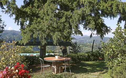 La Castagnara: Property, Tree, Real Estate, House, Table, Cottage, Woody Plant, Plant, Garden, Building