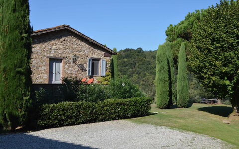 Compignano Barn: Property, House, Home, Tree, Grass, Shrub, Building, Real Estate, Garden, Hedge