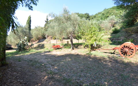 Collina Lagomare: Property, Natural Landscape, Tree, Biome, Rural Area, Landscape, Grass, Plant Community, Land Lot, Plant