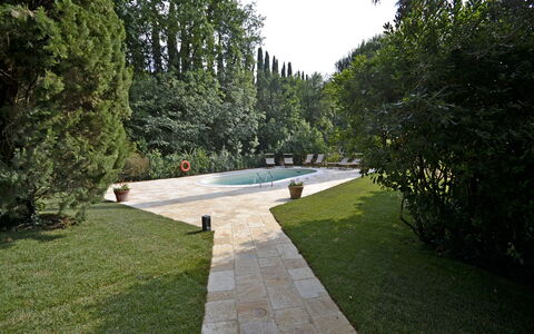Villa Del Castagno: Grass, Property, Lawn, Garden, Yard, Backyard, Landscaping, Shrub, Landscape, Tree